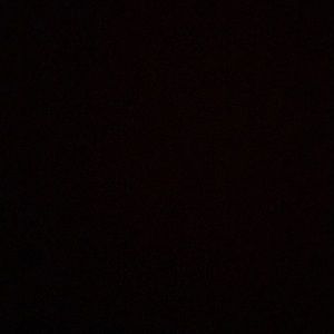 Meet your Posher, Gary